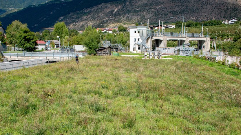 Prati fioriti