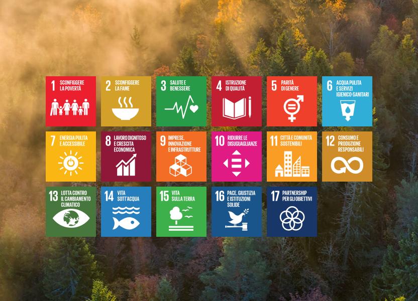 sdg